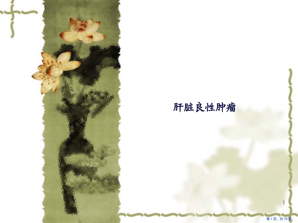 肝脏良性肿瘤课件_第1页