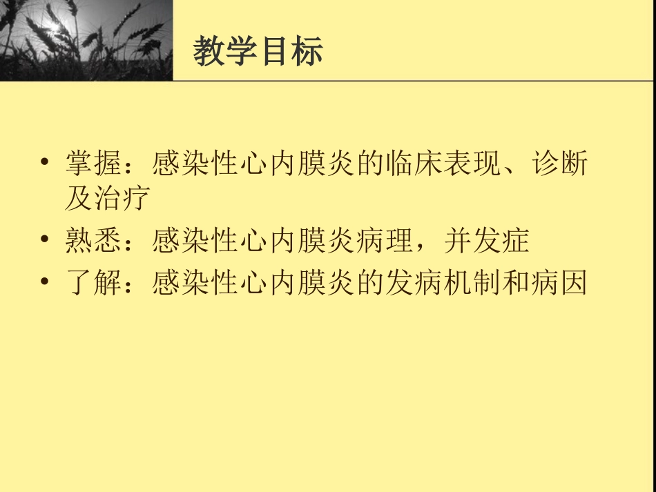 感染性心内膜炎优质课件_第2页