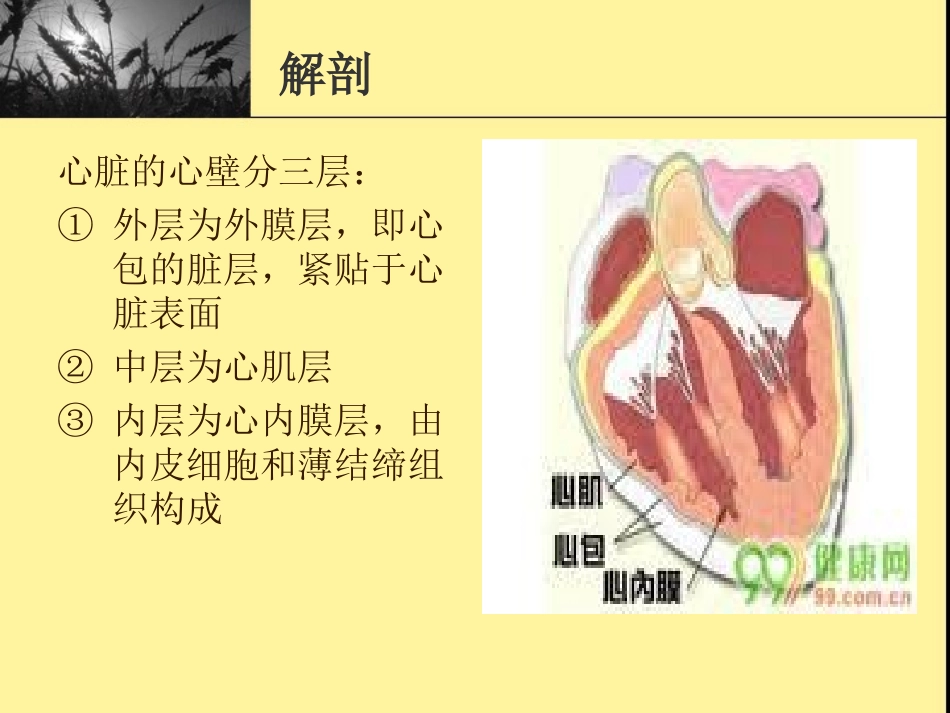 感染性心内膜炎优质课件_第3页