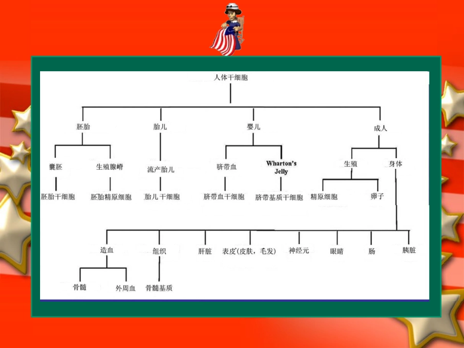干细胞在再生医学和化妆品中的应用_第3页