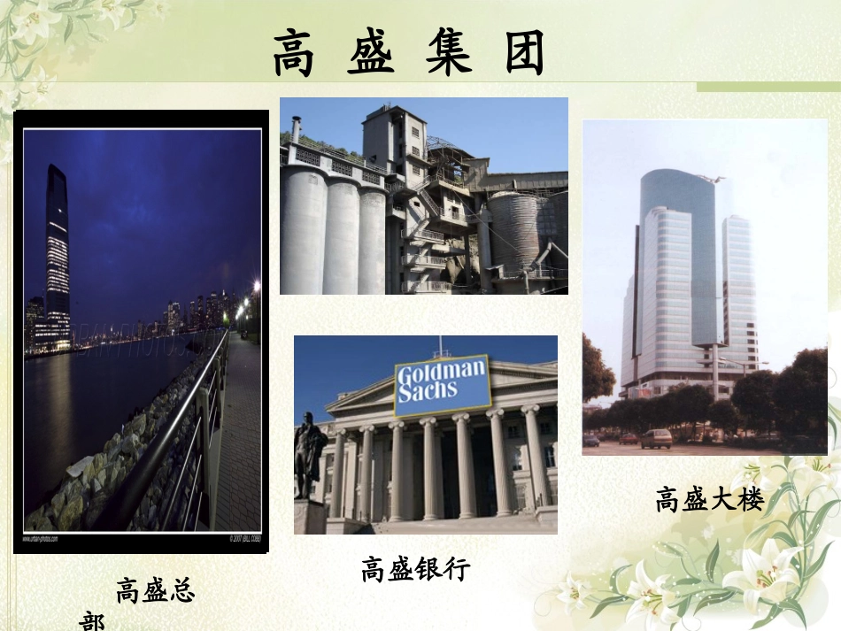 高盛集团财务分析_第2页