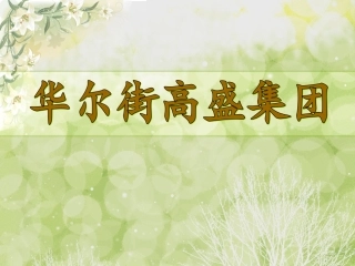 高盛集团财务分析