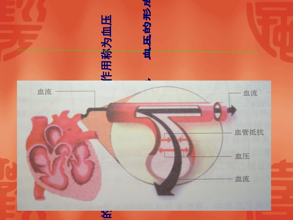 高血压的预防和护理_第2页