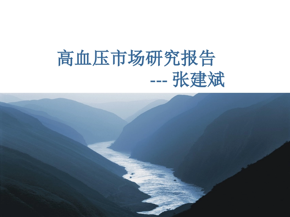 高血压市场研究报告_第1页