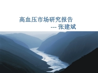 高血压市场研究报告