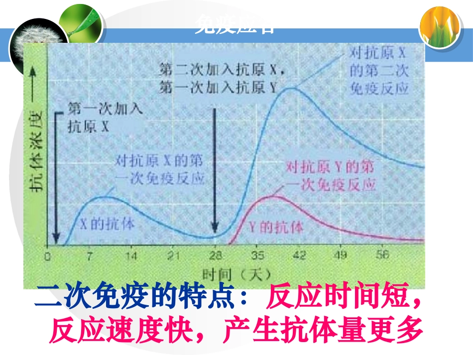 高中生物必修3体液免疫和细胞免疫的关系_第2页