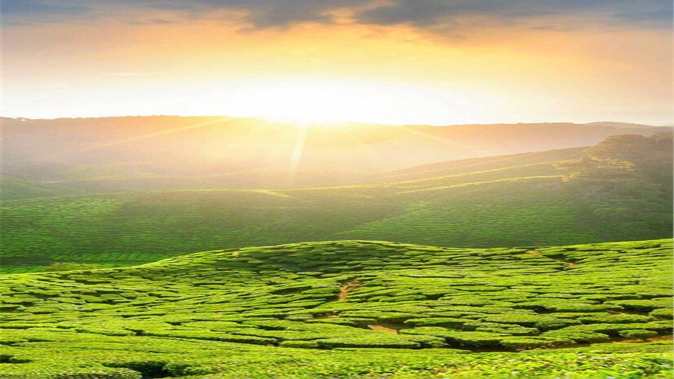 咯血患者的护理讲义_第3页