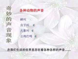 各种动物的声音