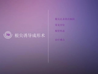 根尖诱导成形术