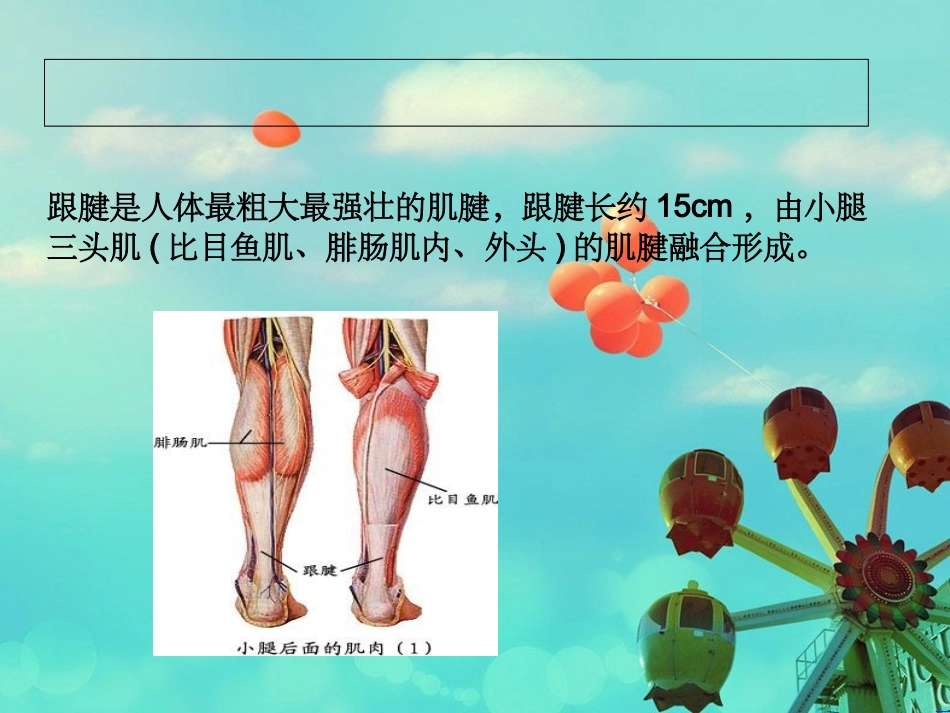 跟腱断裂教学查房_第3页