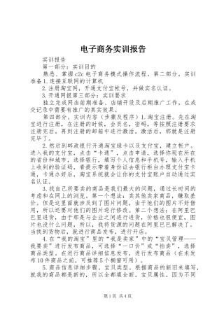 电子商务实训报告