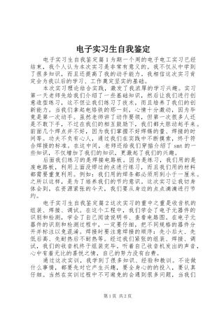 电子实习生自我鉴定