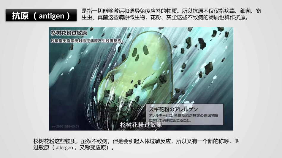 工作细胞你看懂了吗杉树花粉过敏_第2页