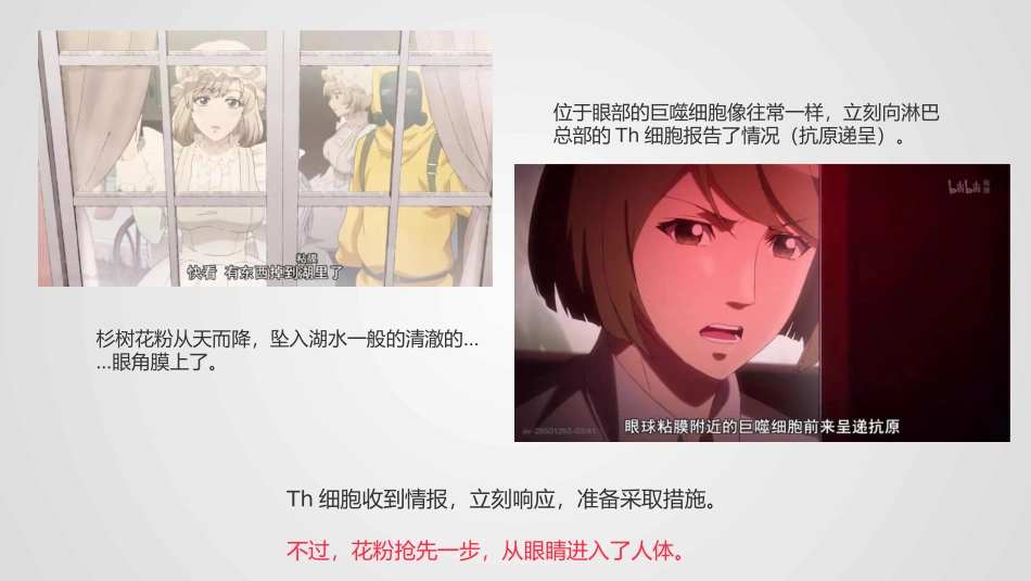 工作细胞你看懂了吗杉树花粉过敏_第3页