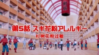 工作细胞你看懂了吗杉树花粉过敏