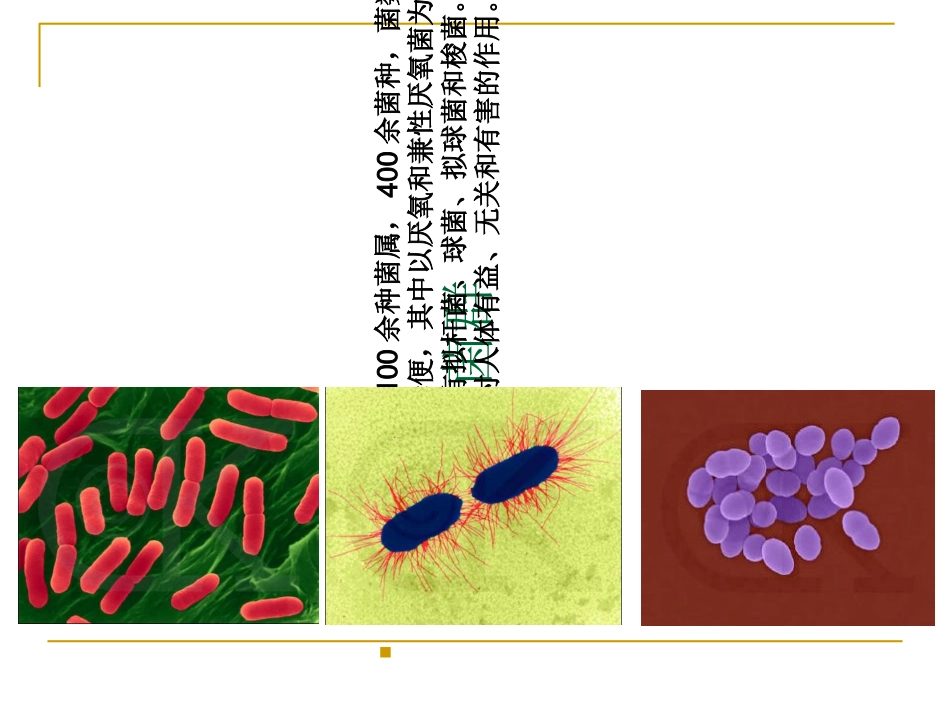 功能性食品肠道菌群_第3页