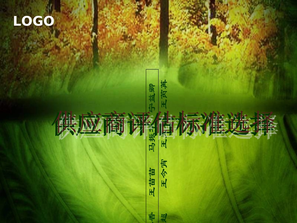 供应商评估标准选择_第1页