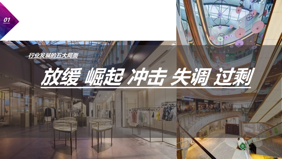 购物中心发展趋势研究专题培训课件_第2页