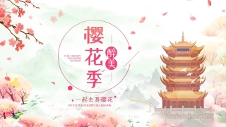古风粉色醉美樱花季旅行相册