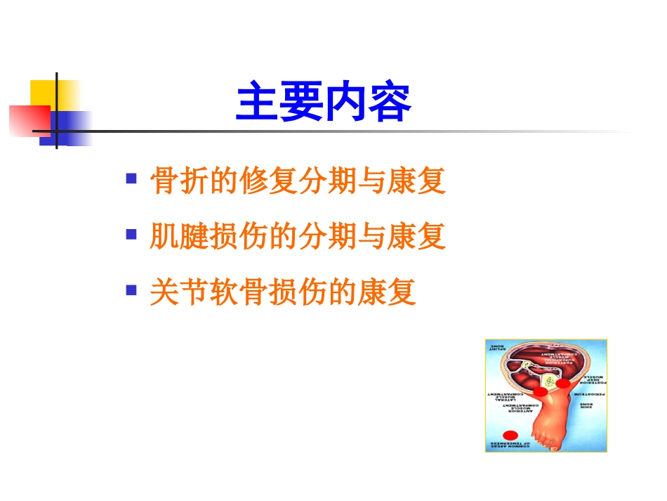 骨关节损伤的康复_第2页