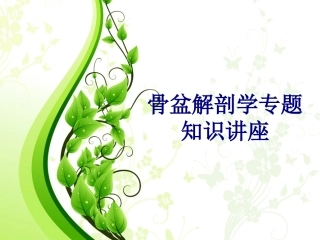 骨盆解剖学专题知识讲座培训课件