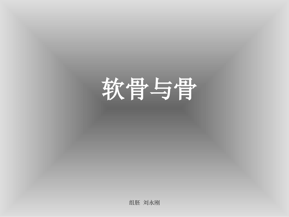 骨软骨和骨发生切片_第1页