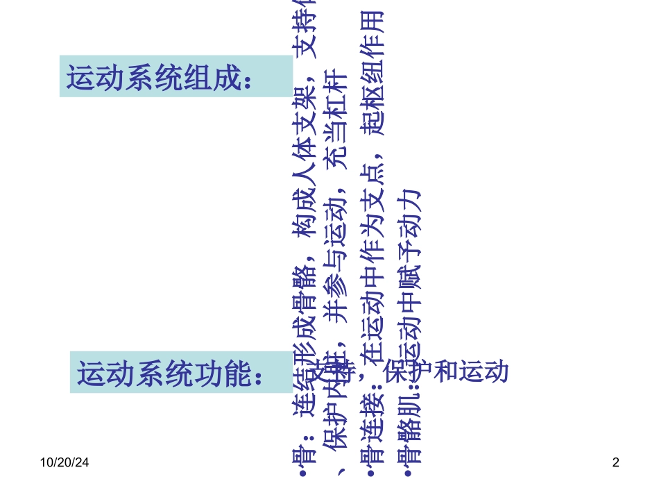 骨学总论躯干骨_第2页