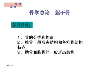骨学总论躯干骨