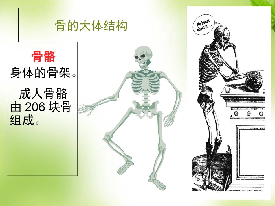 骨质疏松的科普_第2页