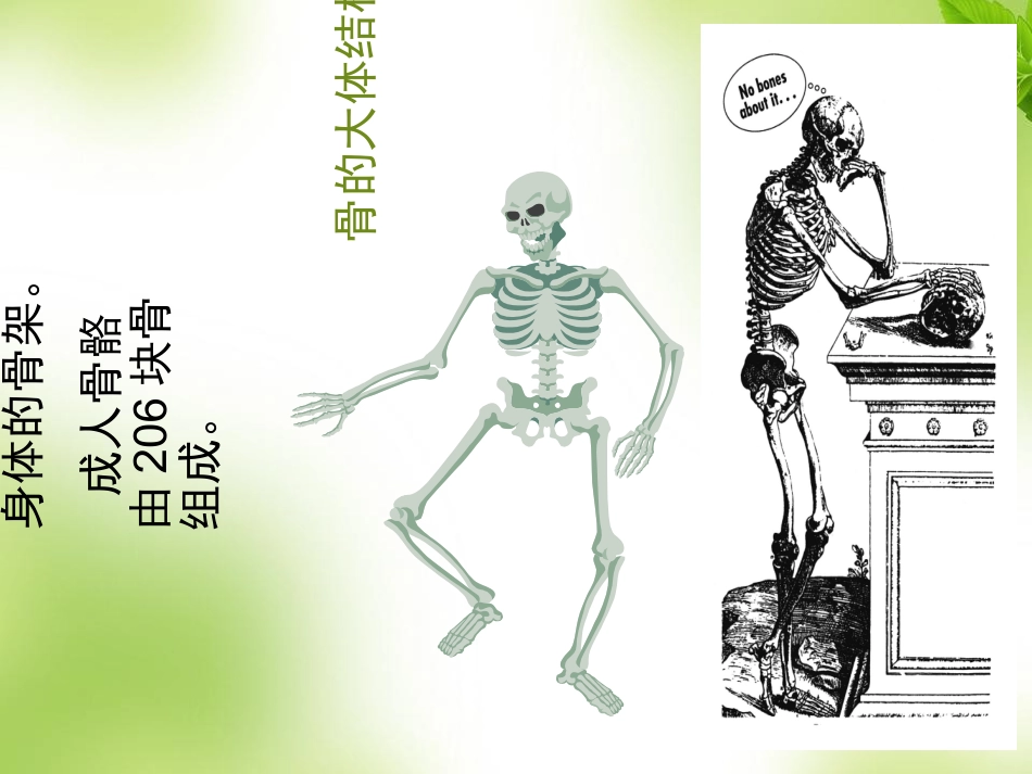 骨质疏松的科普课件_第2页