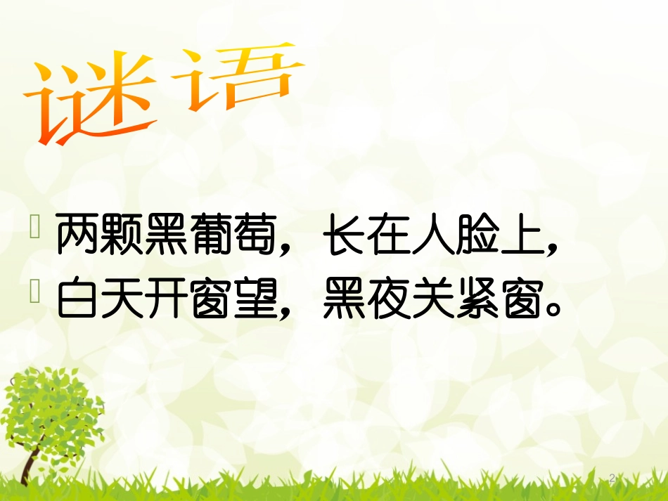 关爱眼睛健康课件_第2页