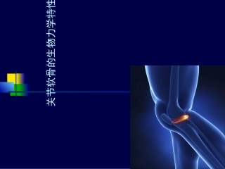 关节软骨的生物力学特性