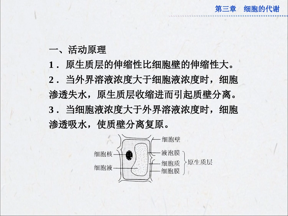 观察洋葱表皮细胞的质壁分离及质壁分离复原_第2页