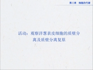 观察洋葱表皮细胞的质壁分离及质壁分离复原