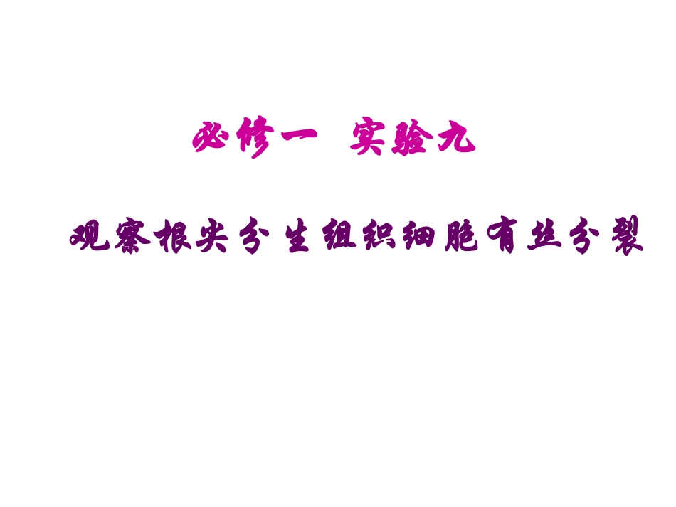 观察植物根尖有丝分裂_第1页