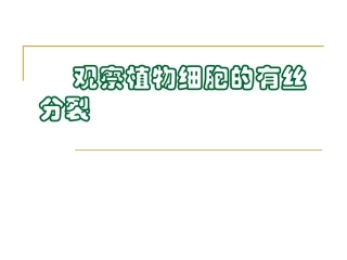 观察植物细胞的有丝分裂