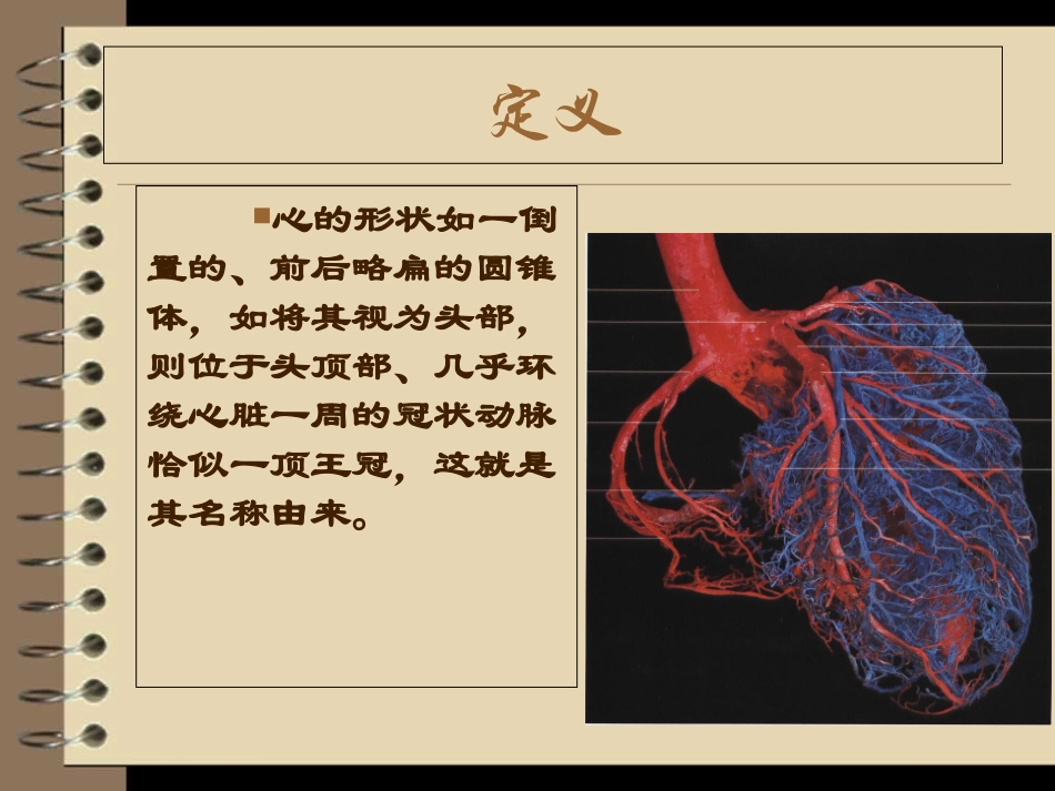 冠状动脉的解剖与冠脉造影优质课件_第2页