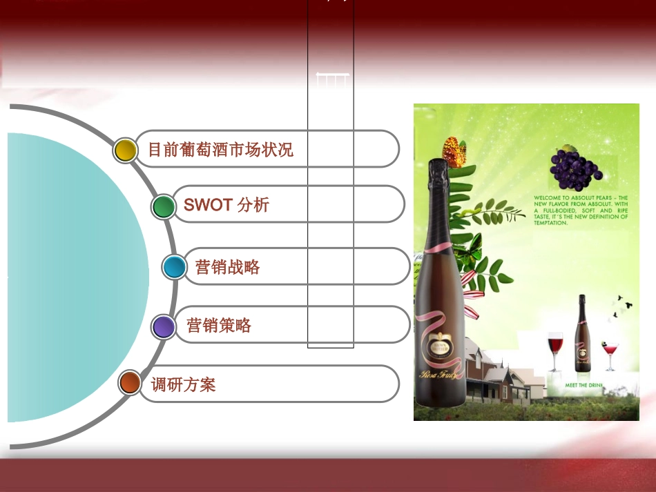 广告策划葡萄酒营销策划方案_第2页