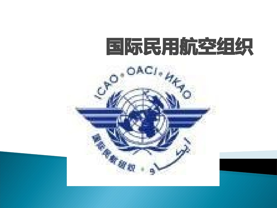国际民航组织_第1页