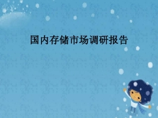 国内存储市场调研报告