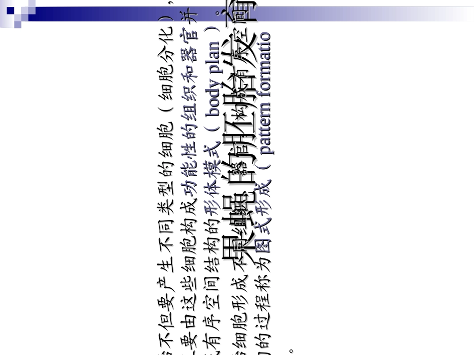 果蝇的胚胎发育_第2页