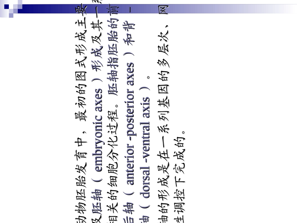 果蝇的胚胎发育_第3页