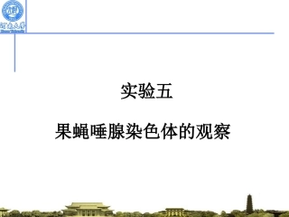 果蝇唾腺染色体的观察分析解析