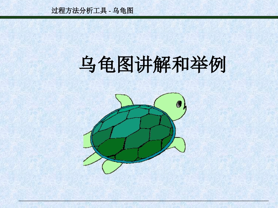 过程方法分析工具乌龟图讲解和举例_第1页
