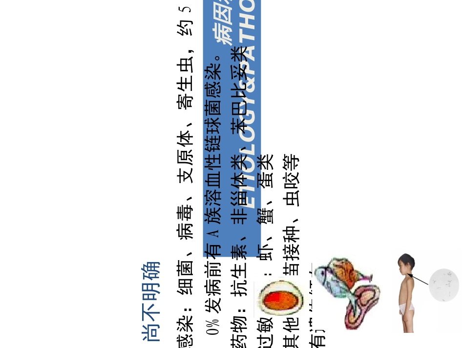 过敏性紫癜个人整理_第3页