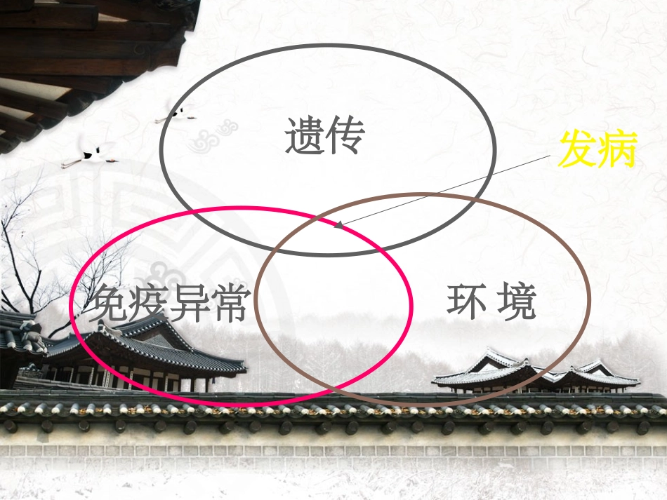 过敏性紫癜护理课件_第3页