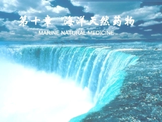 海洋天然药物化学