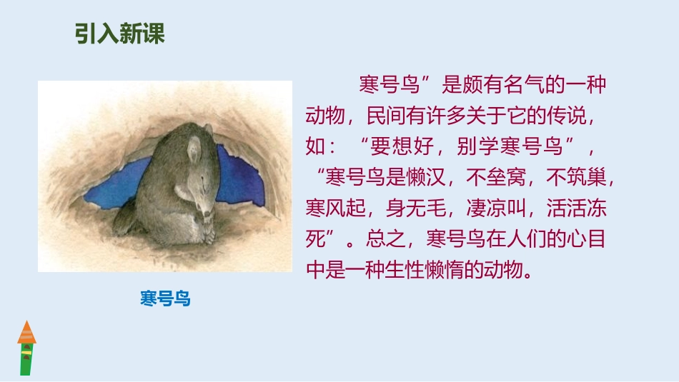 寒号鸟课件精品_第3页