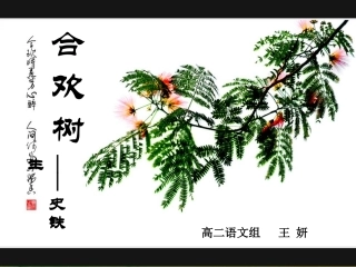 合欢树磨课课件