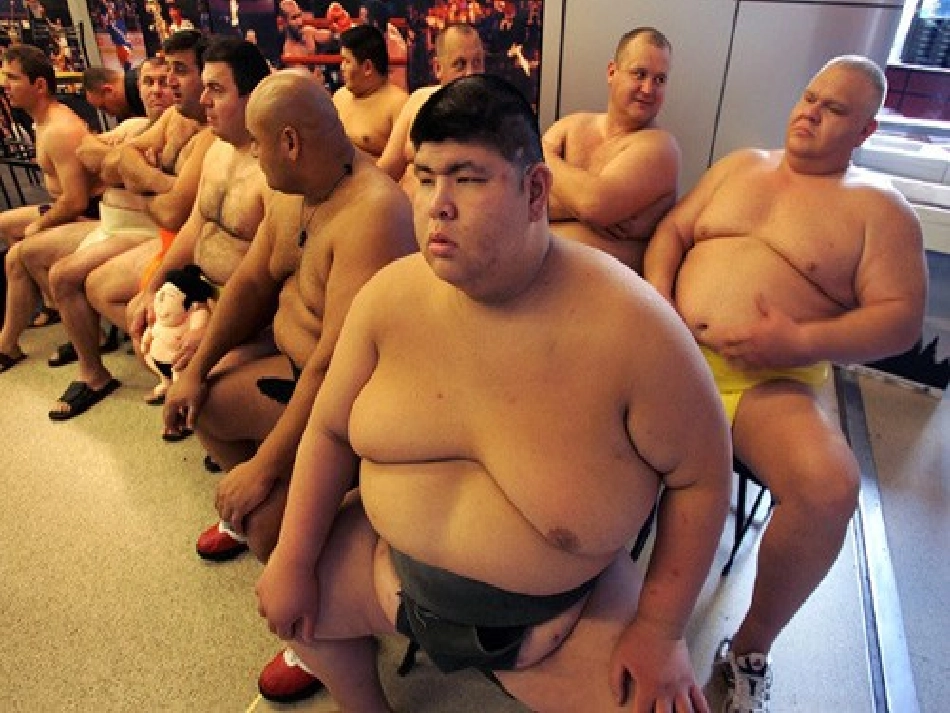 合理膳食课件_第2页